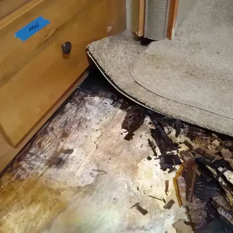 Wood Floor Water Damage in Guadalupe, CA